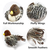 Chirp Play