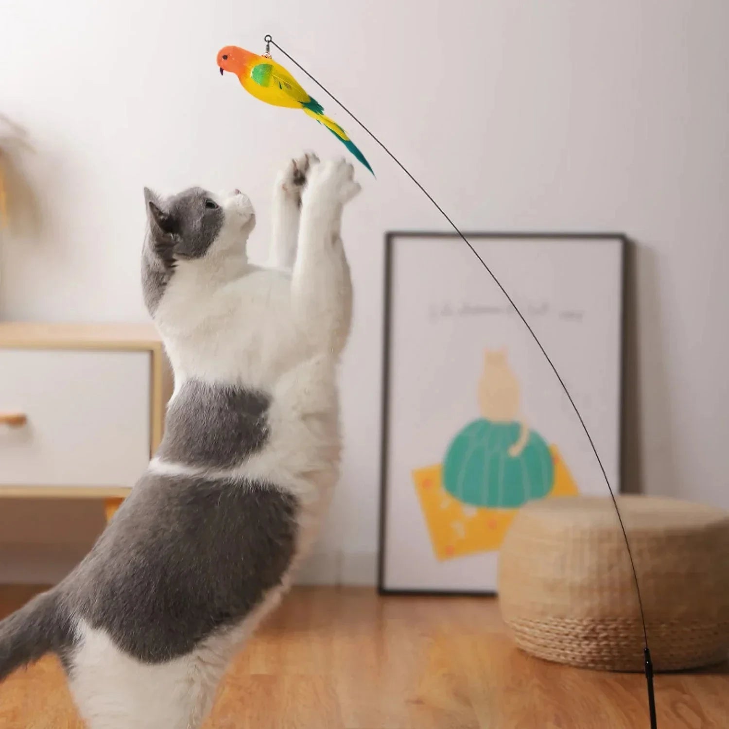 Meowora Flight Frenzy