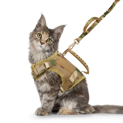 Tactical Cat Harness and Leash Set For Walking Escape Proof Pet Vest Harness Soft Mesh With Control Handle For Cats Small Dogs