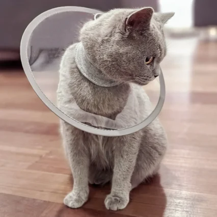 Transparent Cat Elizabeth Collar Pet Supplies Soft Adjustable Healing Recovery Cone Cat Comfortable Pet Neck Protector