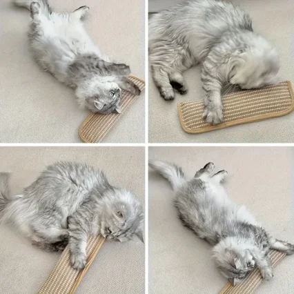 Cat Toy Game Pillow and Cat Scratching Pad for Solo Play and Intimate Interaction to Keep Your Feline Friend Happy and Soothing