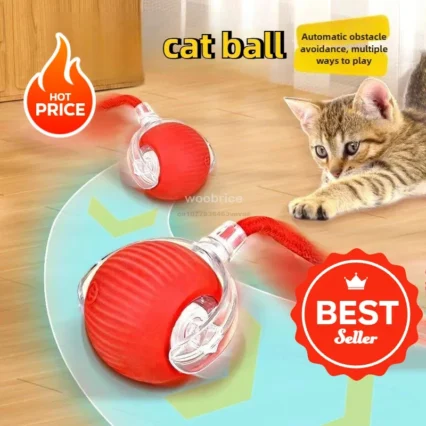 Automatic Rolling Ball